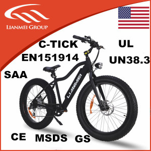 500W Power Motor Electric Fat Tire Bike with TUV Ce Certificate