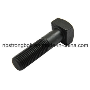 Square Head Bolts / Screws and Nuts